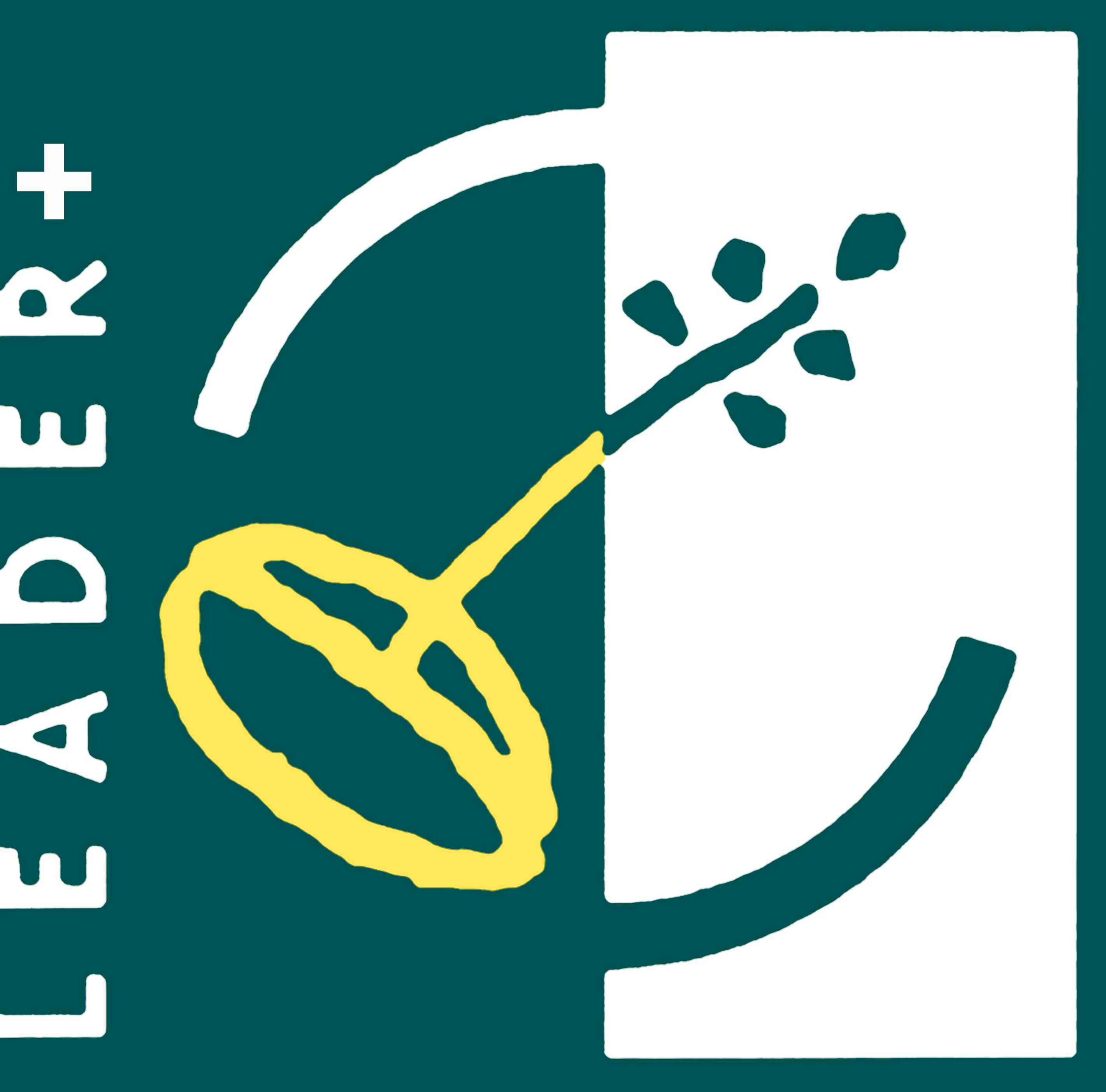 leader plus logo